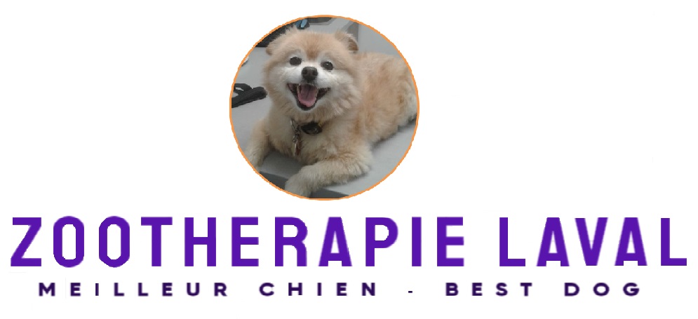 Zoothérapie Laval